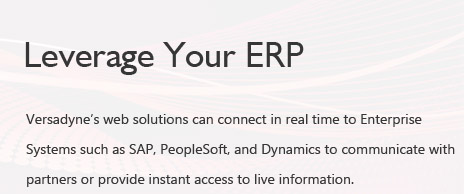 Leverage Your ERP
