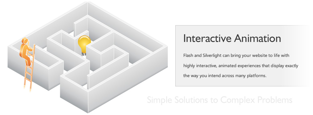 Flash and Silverlight can bring your website to life with highly interactive, animated experiences that display exactly the way you intend across many platforms.